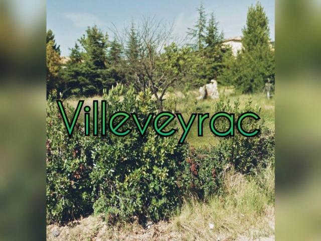 Terrain vente à Villeveyrac
