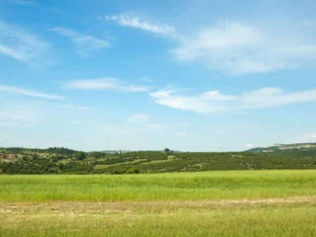 Grundstück kaufen in Vucherens, Waadt