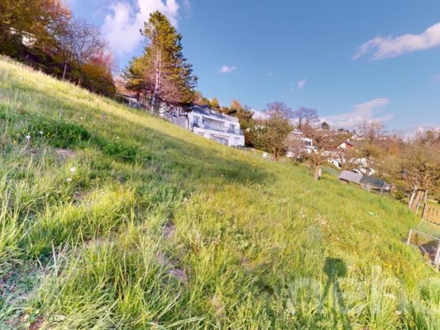 Grundstück kaufen in Bourg-en-Lavaux, Waadt