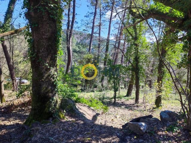 Terrain vente à Alès, Laval-pradel