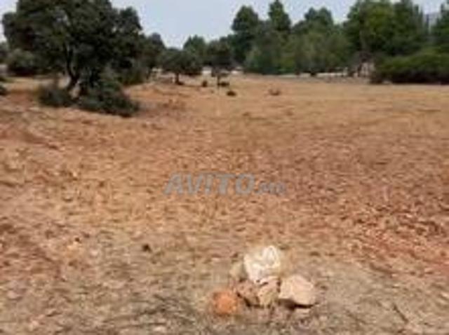 Propriété vente à Imouzzer Des Ida Ou Tanane, Oued ed Dahab-Lagouira