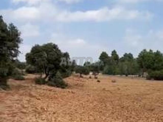 Propriété vente à Imouzzer Des Ida Ou Tanane, Oued ed Dahab-Lagouira