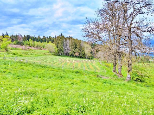 Terrain vente à Le Puy-en-Velay, Jullianges