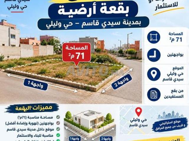 Propriété vente à Sidi Qacem