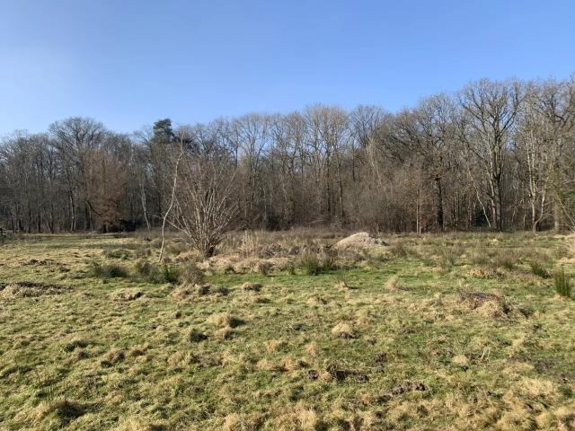 Terrain vente à Rambouillet, Vieille-eglise-en-yvelines