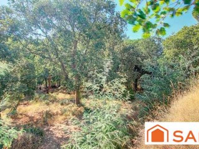 Terrain vente à Céret, Montesquieu-des-albères