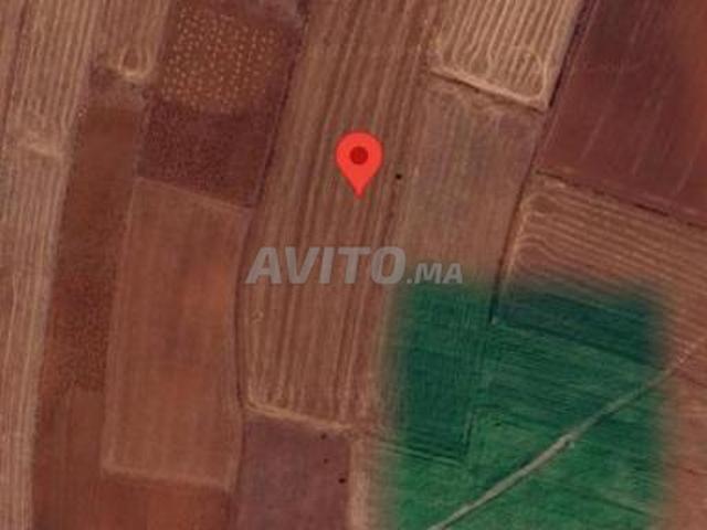 Propriété vente à El Ma, Gharb-Chrarda-Beni Hssen