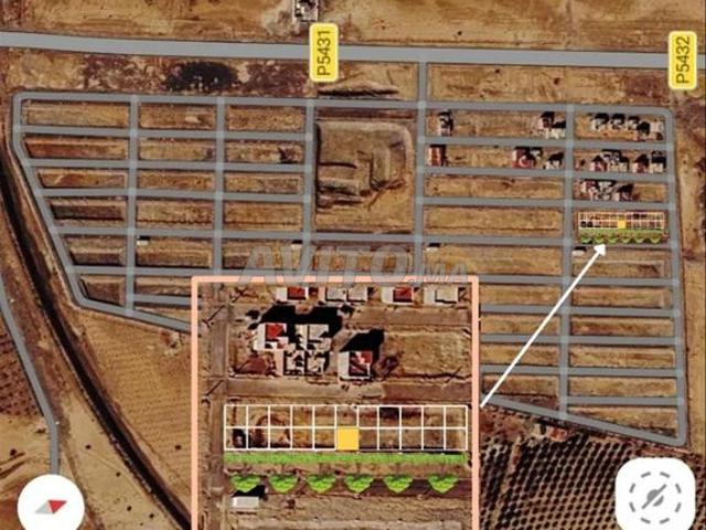 Propriété vente à Guercif