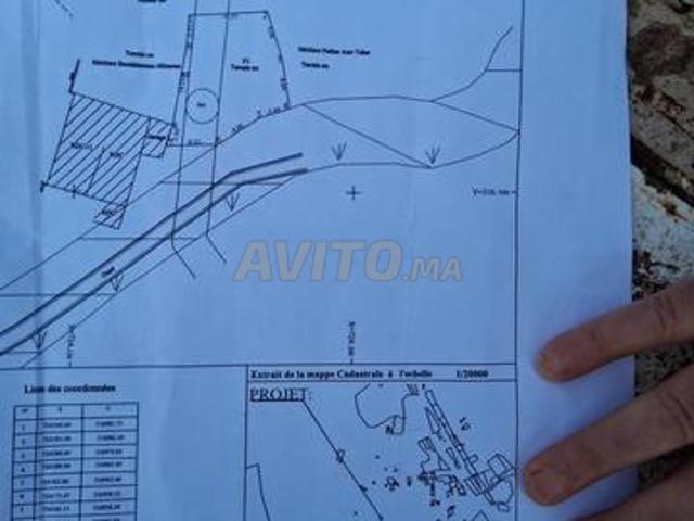 Propriété vente à Nador