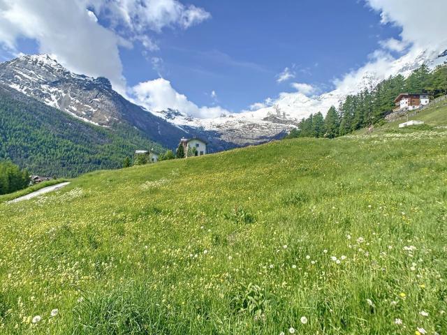 Immobilie kaufen in Saas Fee, Wallis