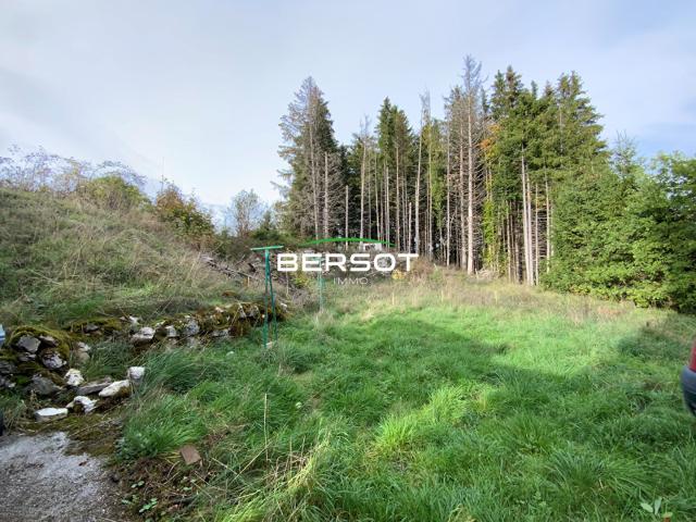 Terrain vente à Aux Étroits, Le Russey