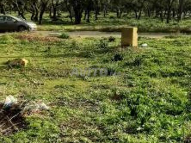 Propriété vente à Slimane, Gharb-Chrarda-Beni Hssen