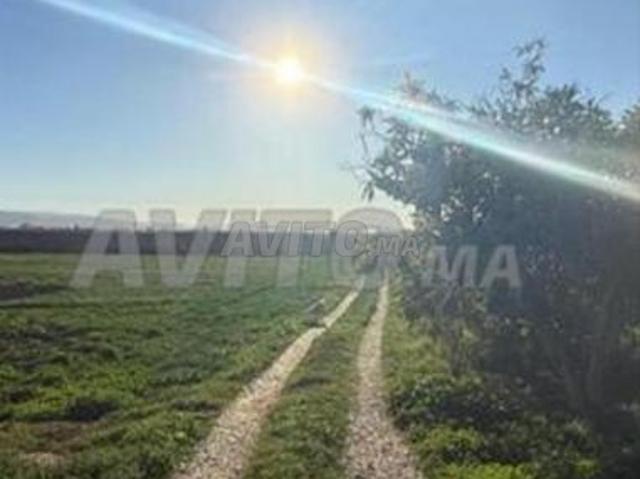 Propriété vente à Berkane