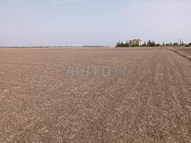 Propriété vente à Berrechid, Gharb-Chrarda-Beni Hssen