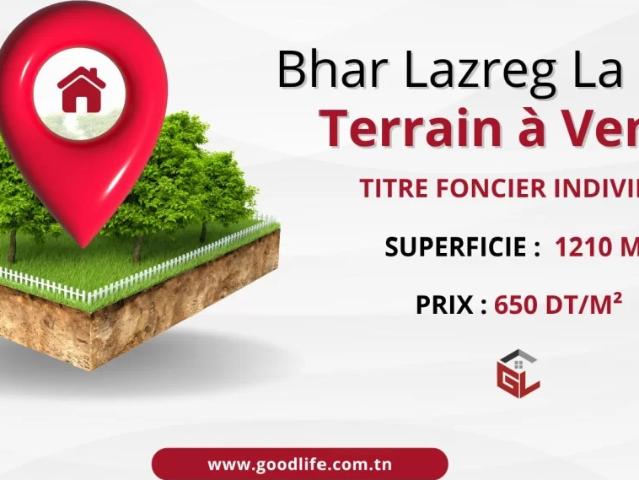 Terrain vente à Douz