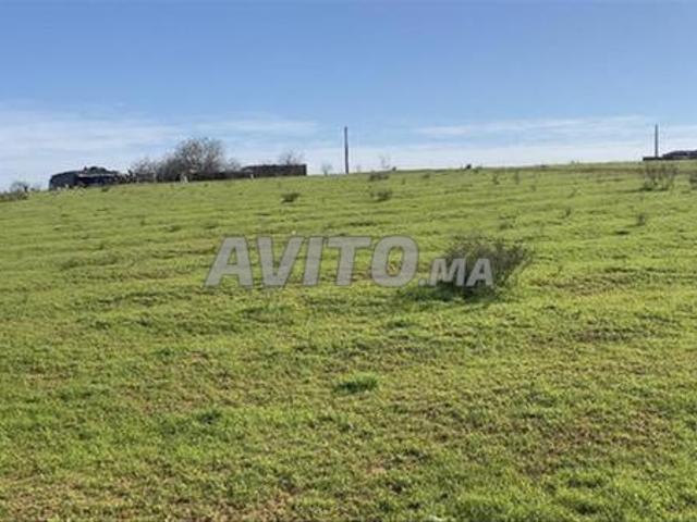 Propriété vente à El Ma, Gharb-Chrarda-Beni Hssen