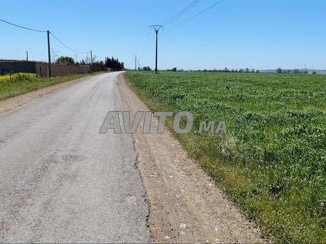Propriété vente à El Ma, Gharb-Chrarda-Beni Hssen