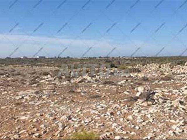 Propriété vente à Essaouira, L'Oriental