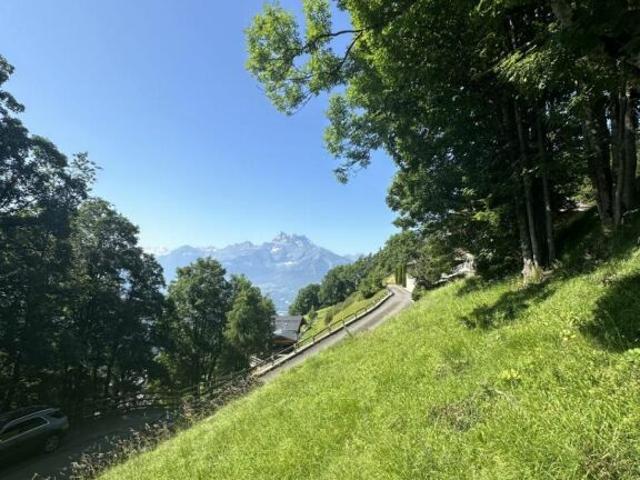 Immobilie kaufen in Ollon (VS), Waadt