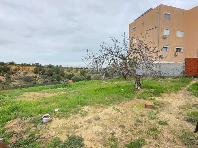 Terrain vente à Nabeul, Beni Khalled