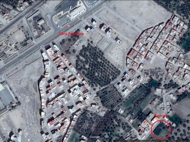 Terrain vente à Guercif