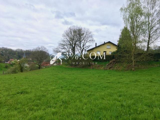 Terrain vente à Sarreguemines, Walschbronn