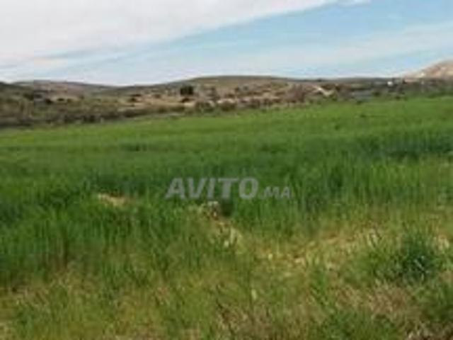 Propriété vente à Ras Kebdana