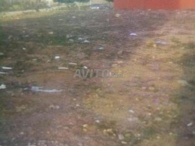 Propriété vente à Centre Ville, Ben Slimane