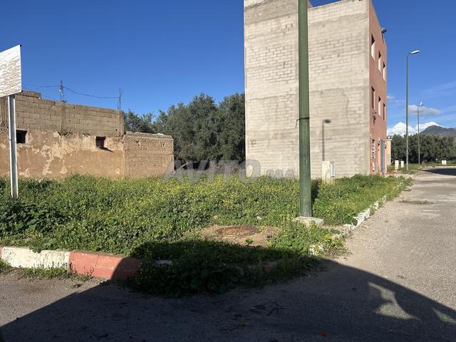 Propriété vente à Mellal