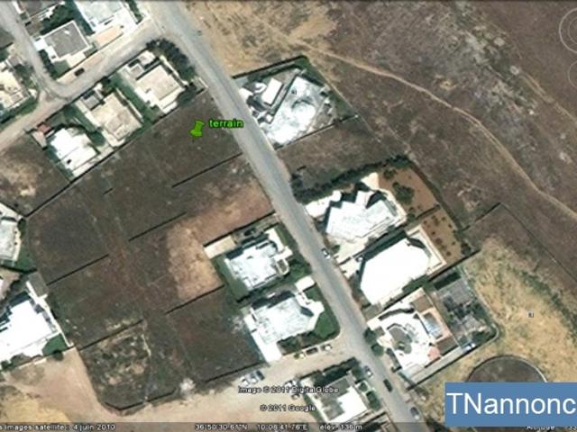 Terrain location