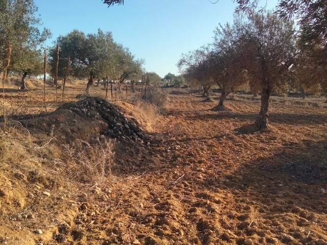 Terrain vente à Sousse Riadh, Akouda