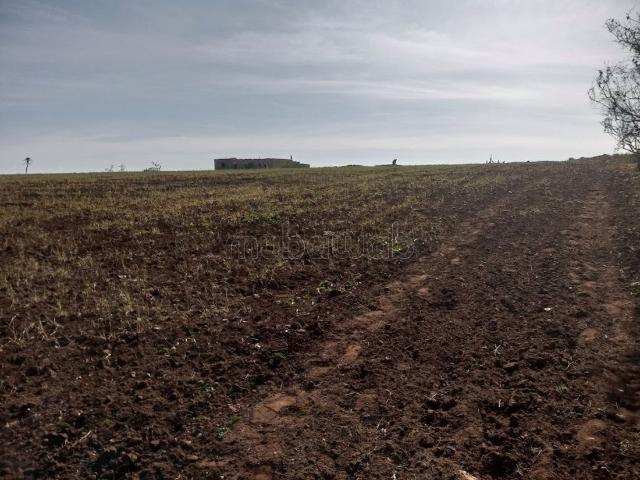 Ferme vente à El Ma, Gharb-Chrarda-Beni Hssen