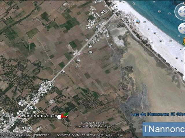 Terrain location