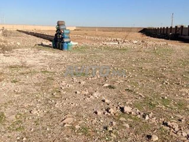 Propriété location à Khouribga