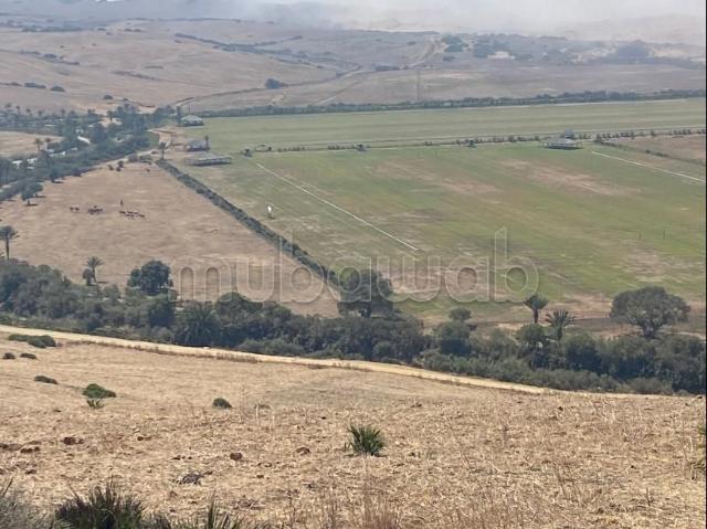 Terrain vente à Assilah, Tanger-Tétouan
