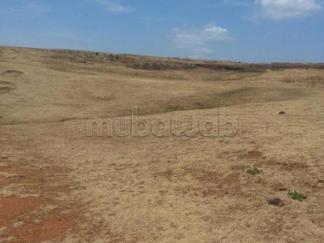 Terrain vente à Béni Yakhlef, Tanger-Tétouan