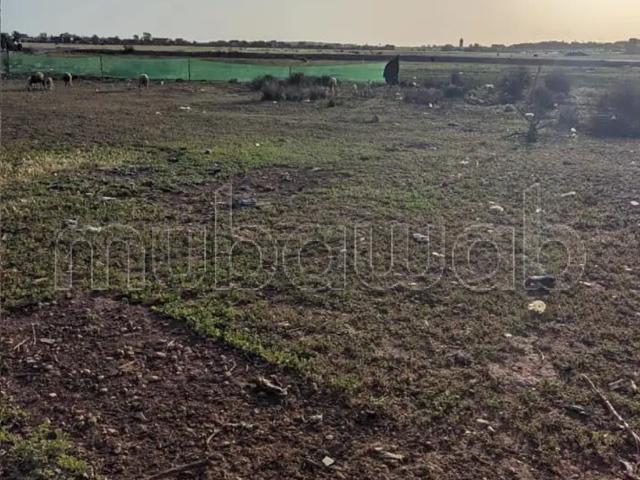 Terrain vente à El Ma, Gharb-Chrarda-Beni Hssen