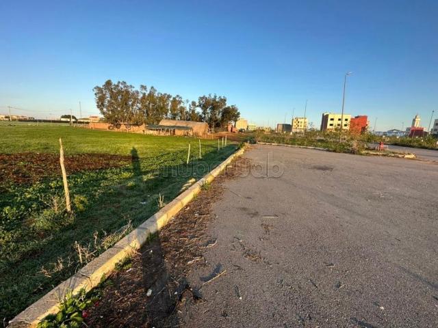 Terrain vente à El Ma, Gharb-Chrarda-Beni Hssen