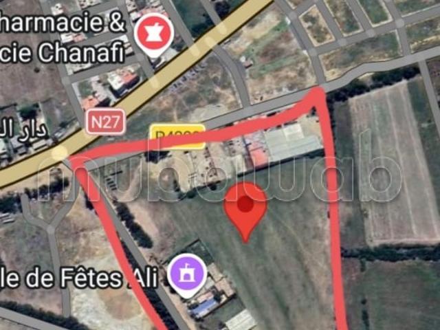 Terrain vente à Mechra Bel Ksiri