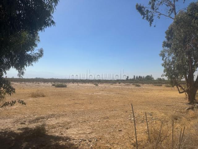 Terrain vente à Al Haouz, L'Oriental