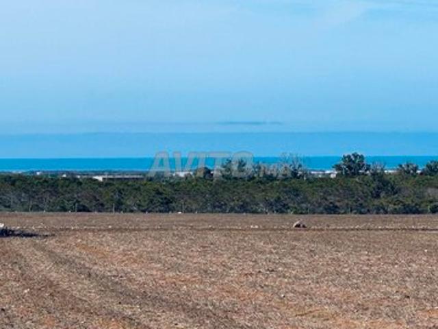 Propriété vente à El Ma, Gharb-Chrarda-Beni Hssen