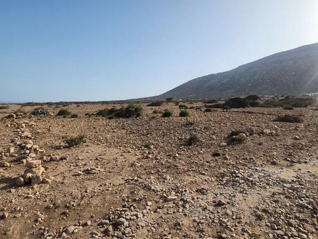 Terrain vente à Tamri, Oued ed Dahab-Lagouira