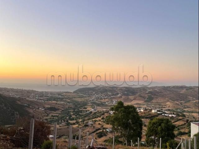 Terrain vente à El Fahs, Tanger-Tétouan