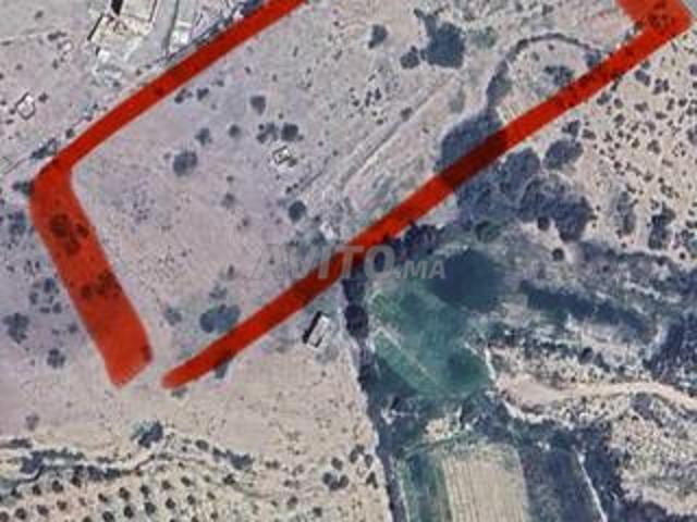 Propriété vente à Saida