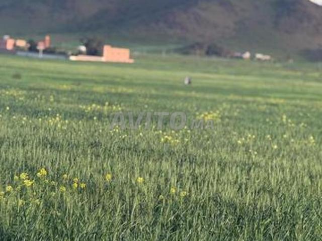 Propriété vente à Anfa, Gharb-Chrarda-Beni Hssen