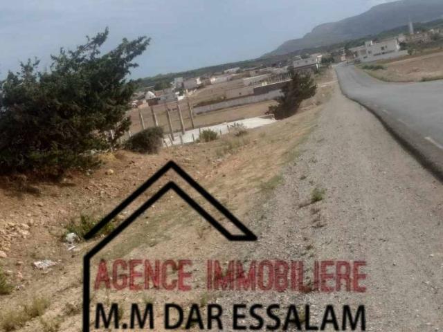 Terrain vente à Beni Khalled