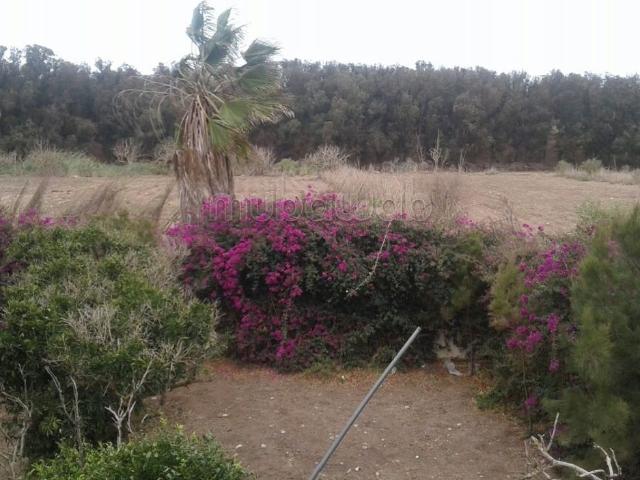 Terrain vente à El Ma, Gharb-Chrarda-Beni Hssen