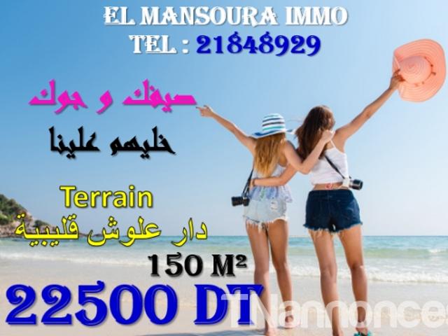 Terrain vente