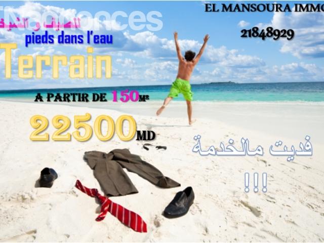 Terrain vente
