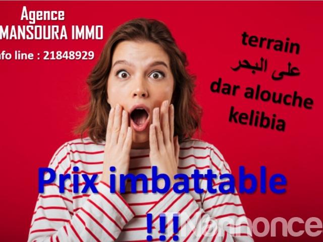 Terrain vente